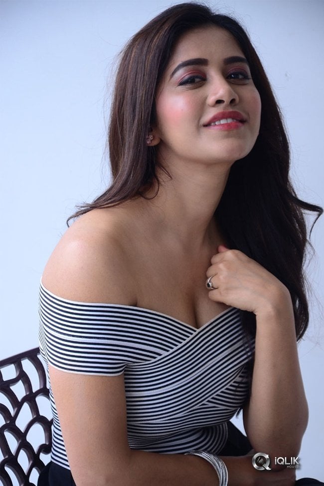 Nabha-Natesh-New-Photos